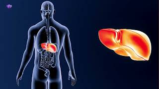TNM Liver Support | Paragon Cleanse #tnmliversupport #paragoncleanse #liversupport #detoxsupport #us