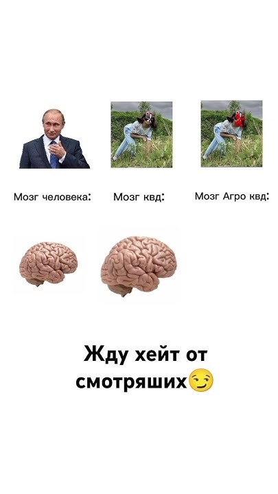 #мем - YouTube