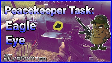 Eagle Eye - Peacekeeper quest on Shoreline in Escape from Tarkov