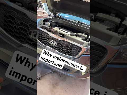 Matthews Kia Express Service