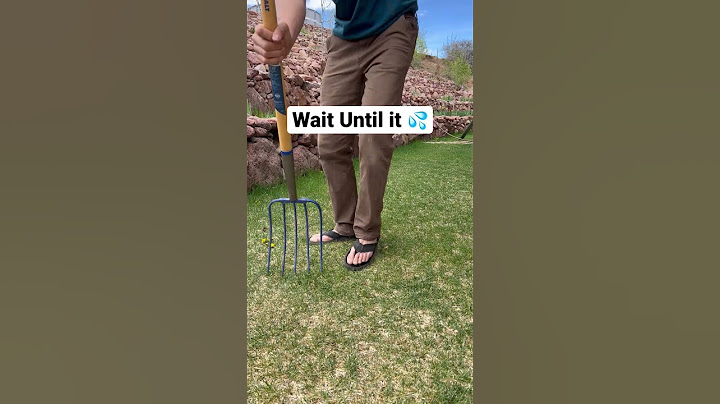 Try this for Greener Lawn