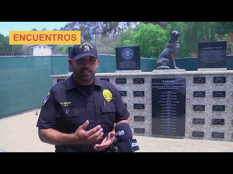 Encuentros Episodio 9