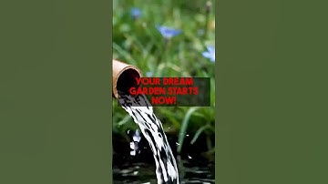 AI Creates Your Perfect Garden Effortless Design for a Thriving Space