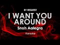 I Want You Around | Snoh Aalegra karaoke
