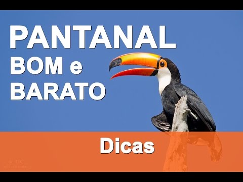 Pantanal BOM e BARATO - Dica de Pousada/Albergue/Camping na Estrada Parque