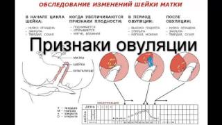 видео Что такое календарный день (календарные дни)?