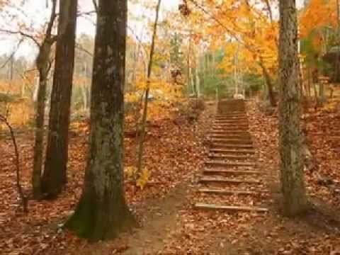 Gary Rihoo Dar Jostejoy To