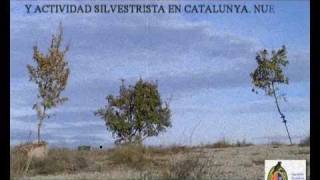 silvestrismo prohibido en Catalunya, anunciado por el canal de TV de los VERDES...