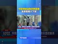 中聯問題油致癌物超標 食藥署擴大下架 #中聯油脂 #致癌油 #食藥署