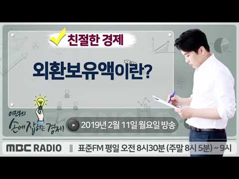 이진우의 손에 잡히는 경제 외환보유액이란 