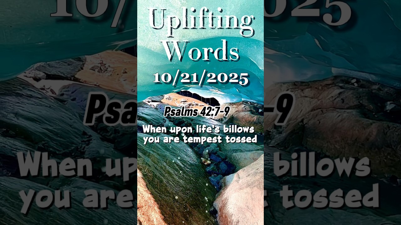 (FULL) Cewek India Mengubah Cara Pandangmu Tentang India Nyanyi Lagu Bollywood - Hindi Status Tube