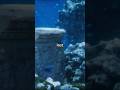 This Nevada Lake Has a Creepy Secret… And It’s Not What You Think!  #ancient #curiosity #facts