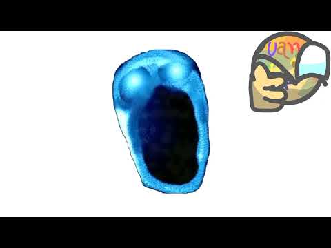 Animaciones del crucifijo parte 1 (Especial 850 subs)