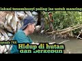 lokasi tersembunyi paling jos untuk mancing saluang di tengah hutan warta petani muda hidup di hutan