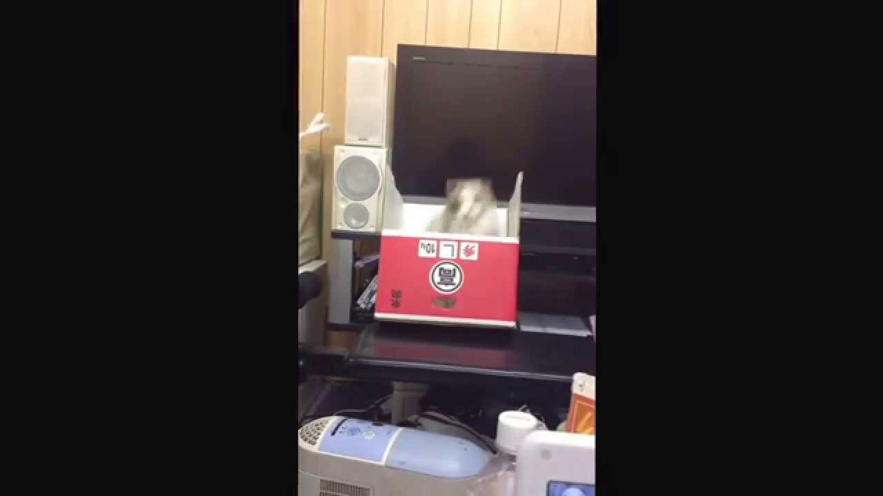 ジロッ...キャッww