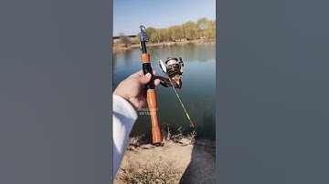 Cần câu máy rút gọn 33cm, 1,6m câu lure cá lóc sộp 2025 #6 #lurefishing  #fishing #shorts