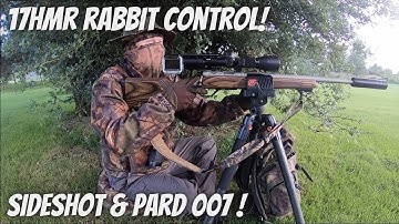 Rabbit Control using the 17hmr with scope cam & Pard 007