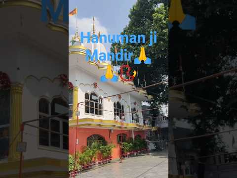 Balaji ki kripa 📿🙏 #youtube #youtubeshorts #balaji #trending #mangalwar