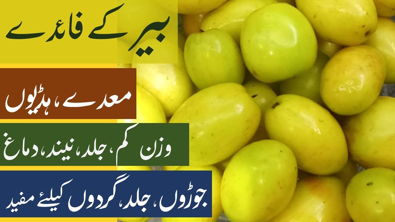 Bair Ke Fayde Jujube Fruit Benefits Bair Ber For Stomach Bones Weight Loss Skin Blood Pressure Youtube
