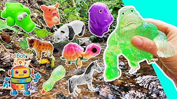 Dierennamen | Kinderen leren: Nijlpaard Hyena Varken Panda Eend