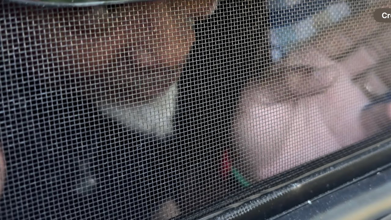 NOSY NEIGHBOR-PROOF!@leadfarmer73 ASKED ME TO MAKE THESE