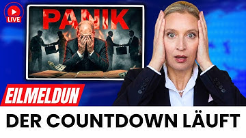 Olaf Scholz PANIK MODUS - Geheime Ukraine-Deals Mit USA AUFGEDECKT