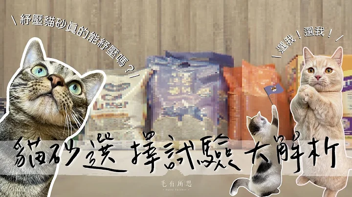 【毛有所思】猫砂选择试验大解析，纾压猫砂真的能让猫纾压吗？ - 天天要闻