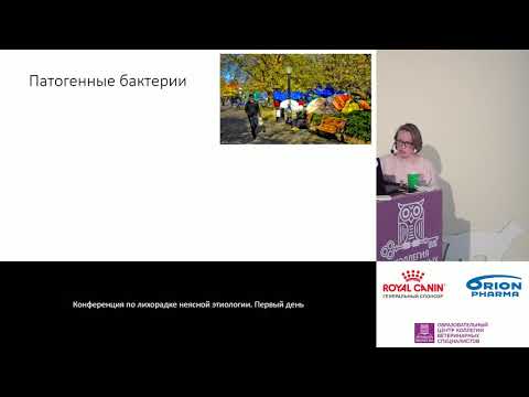 Лежнева Е. А. - Бактериальная инфекция по системам органов.