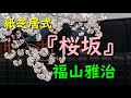 桜坂/福山雅治【歌詞付き】Japan Sakura Cherry Blossom