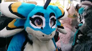 Golden State furcon 2019 highlights