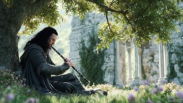 Whispers of the Old Forest: Medieval Folk Music for Deep Study & Restful Work