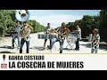BANDA COSTADO - LA COSECHA DE MUJERES [ Video Oficial ] Morena Music
