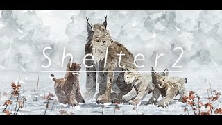 Shelter 2 - СИМУЛЯТОР РЫСИ (Обзор)