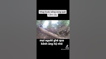 Cắm câu cá lóc mồi nhái ghé qua kênh Vlog mình để xem về cuộc sống vùng quê thường ngày của mình