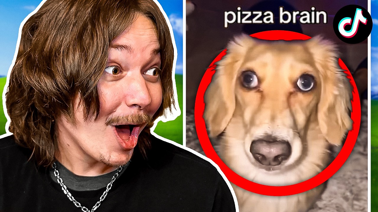 Watching All My Liked Tiktok's was a MISTAKE 💀