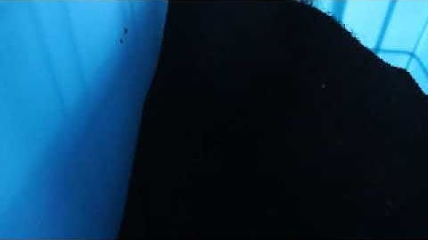 Color Sorter Working Video for Black Cumin Seeds