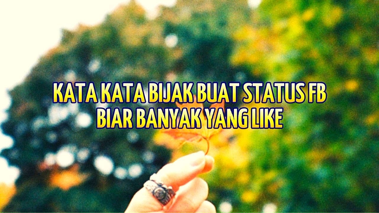 kata-kata-bijak-buat-status-fb-biar-banyak-yang-like-youtube