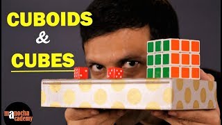Surface Area and Volume of Cube and Cuboid (Maths)