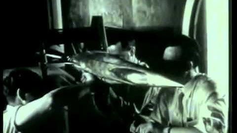 JAGDSTAFFEL 66 - Pilot was Killed (OFFICIAL VIDEO)