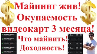 Майнинг снова выгоден! Окупаемость видеокарт 3 месяца! Что майнить! Доходность!