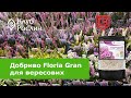 Добриво Floria Gran для рододендронів, азалій та вересків гранульоване безхлорне