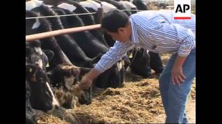 Inspectors dispatched to milk farms in Inner Mongolia