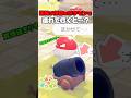 爆発が得意なポケモンを打ち上げ筒に連れて行くと…？【ぽこあポケモン】#ぽこあポケモン