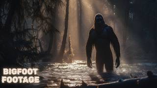 Caught on Camera  7 Bigfoot Encounters Too Real to Ignore