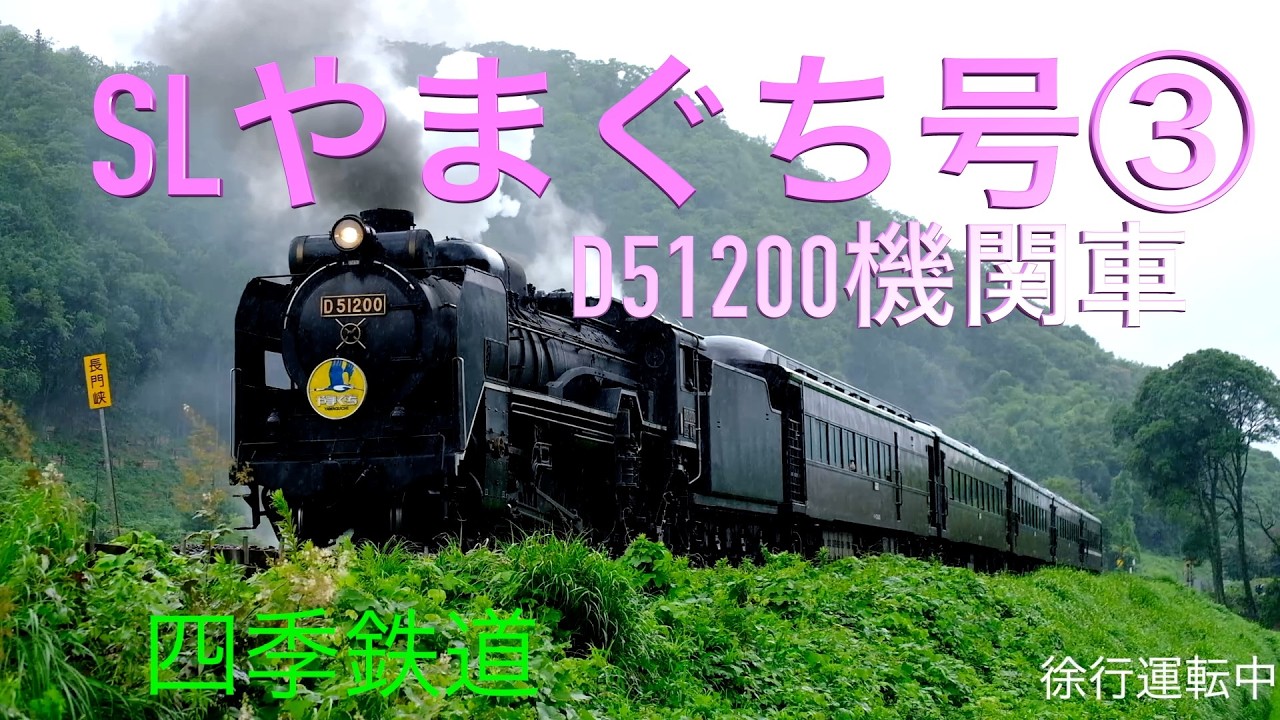 SLやまぐち号56 大雨で徐行運転と成る、。