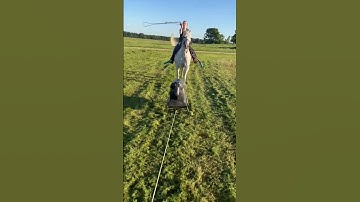 Practicing for finals this weekend #shorts #horses #rodeo #roping #breakawayroping #fyp