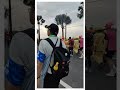 巧遇頭旗