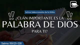 Culto Dominical 26/07/2026