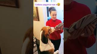 Картинки, которые 7 лет приносят результаты🖼️ #карты #сессия