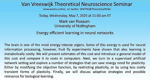 Energy efficient learning in neural networks | Mark van Rossum University of Nottingham
